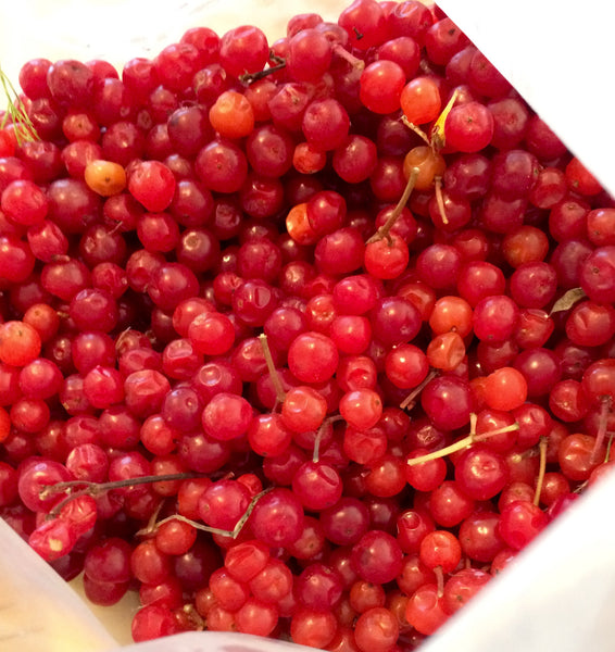 Alaskan Cranberry promote tissue regeneration,anti-inflammatory, Vitamin C, lighten the skin, reduce  age spots.